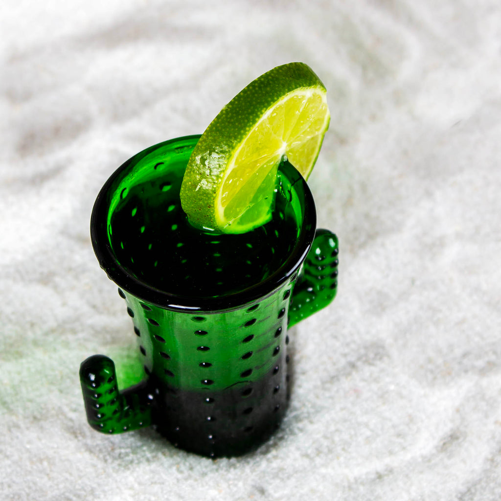 BarConic Cactus Mason Jar Glass - w/ Lid
