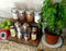 Counter Caddies™ - Stained Finish - 12" STRAIGHT Shelf - Culinary / Spice Rack