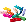 BarConic® Garnish Clips - 100 Pack - Multi Color