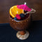 BarConic® Coconut Coupe Cup - 16 ounces