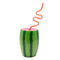 BarConic® Plastic Watermelon Drinking Cup w/ Twisty Straw and Lid - 28oz