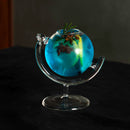 BarConic® Globe Glass - 12oz