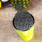 BarConic® Stainless Steel Strainer - Pineapple