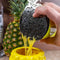 BarConic® Stainless Steel Strainer - Pineapple