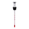 Thermometer for Wine