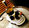 Bottle of dark liquid with three shot glasses on a decorative skull-shaped tray.