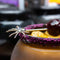 Witches Brew - Halloween Cocktail Kit