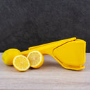 Flat Citrus Juicer