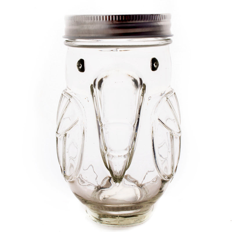 Parrot Mason Jar w/lid - 14 ounce - BarConic®