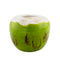 BarConic® Natural Green Coconut - Tiki Drinkware