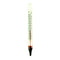 Floating Beer Thermometer - Dairy Type - 8 inch
