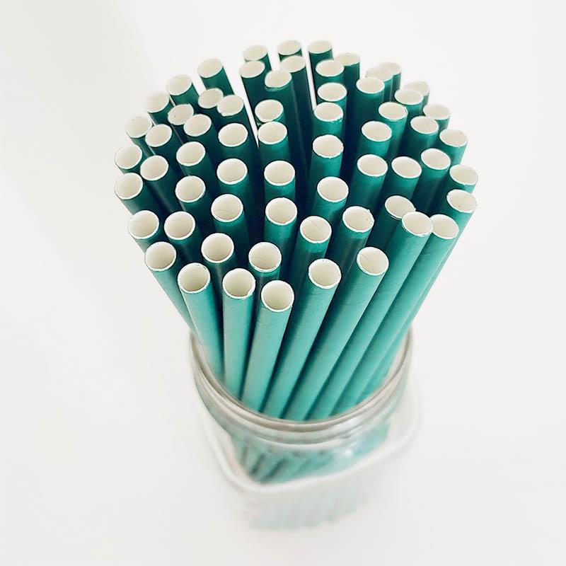 BarConic® "Eco-Friendly" Paper Straws - 7 3/4" Solid Green - 100 pack