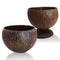 BarConic® Real Coconut Cup - Lacquered