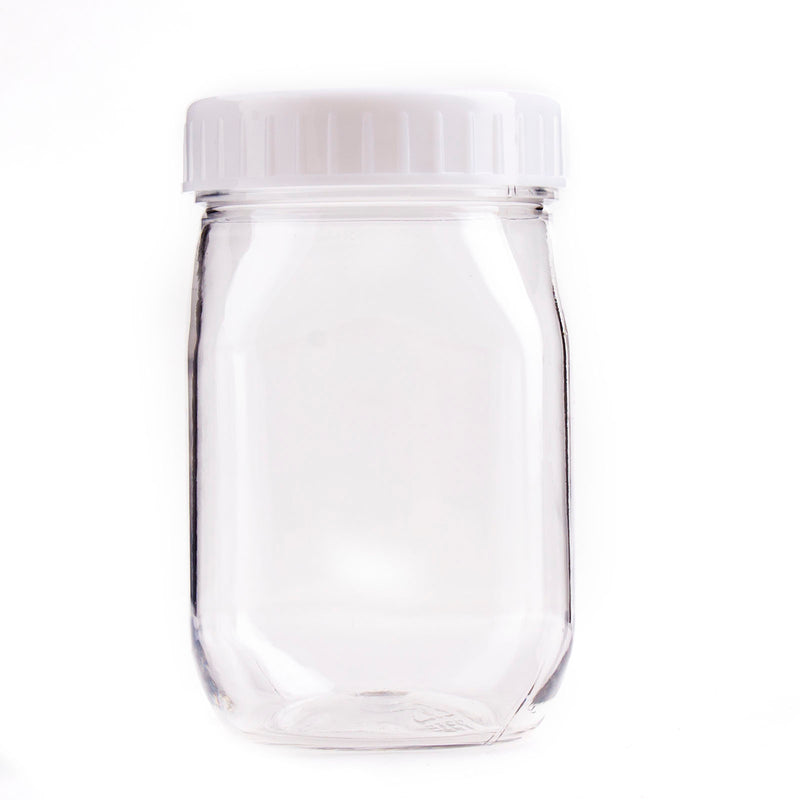 Mini Mason Jar - 10 pack - 4 ounce