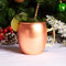 Holiday Moscow Mule Bar Set