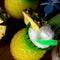 Pineapple Tiki Drinkware Gift Set