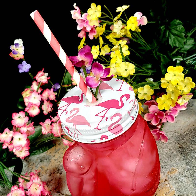 BarConic Glassware - Pink Flamingo Glass