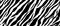 Kolorcoat™ Flair Bottle - Zebra Print Design - 750ml